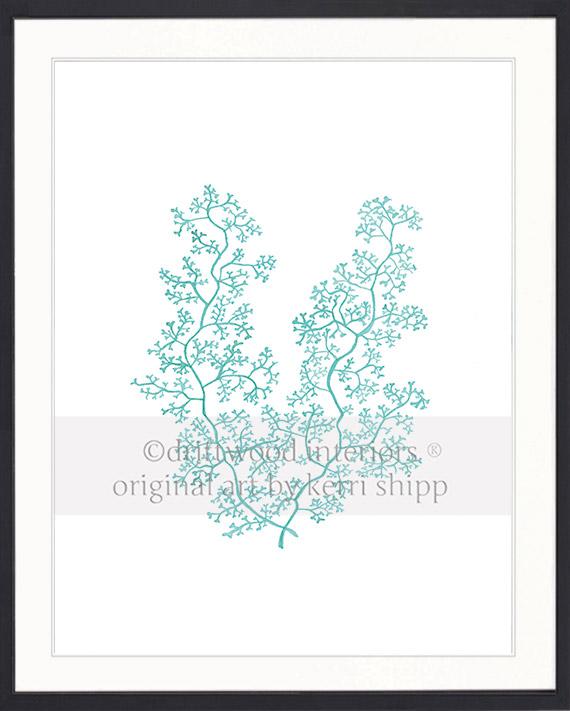 Sea Fern II in Woodlawn