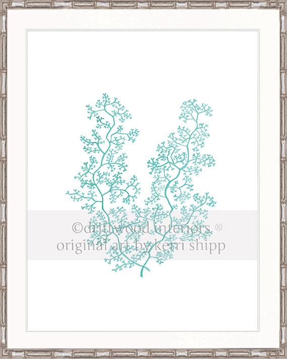 Sea Fern II in Woodlawn