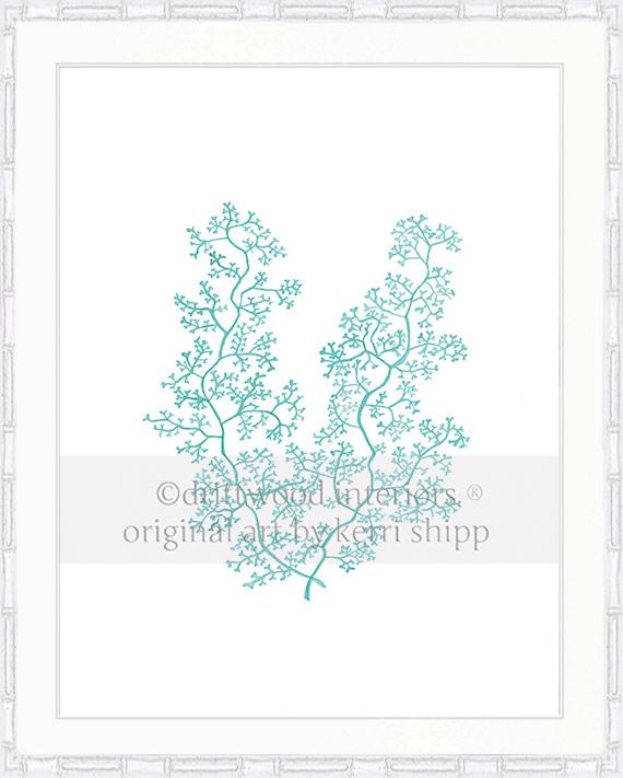 Sea Fern II in Woodlawn