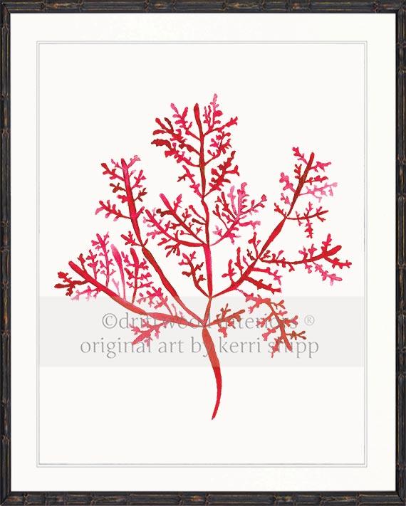 Sea Fern III in Ruby