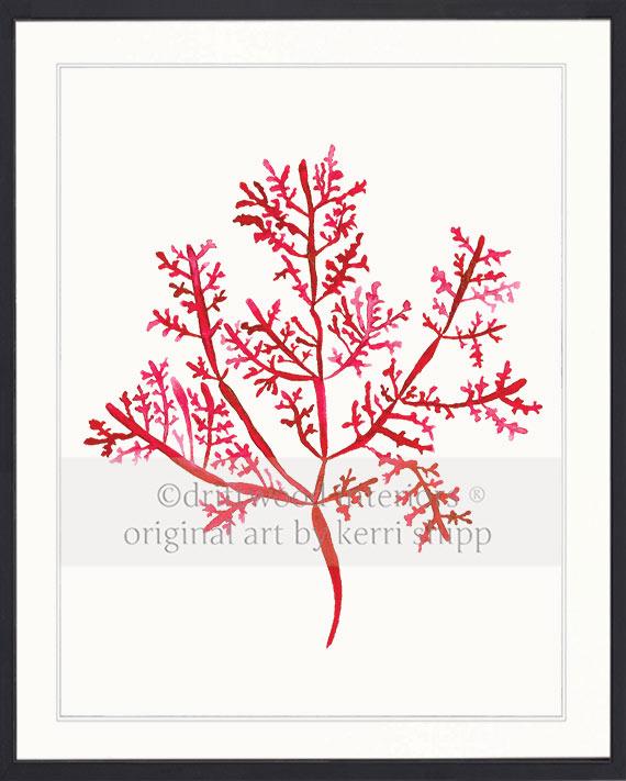 Sea Fern III in Ruby