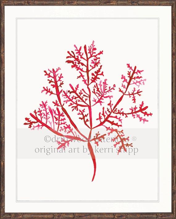 Sea Fern III in Ruby