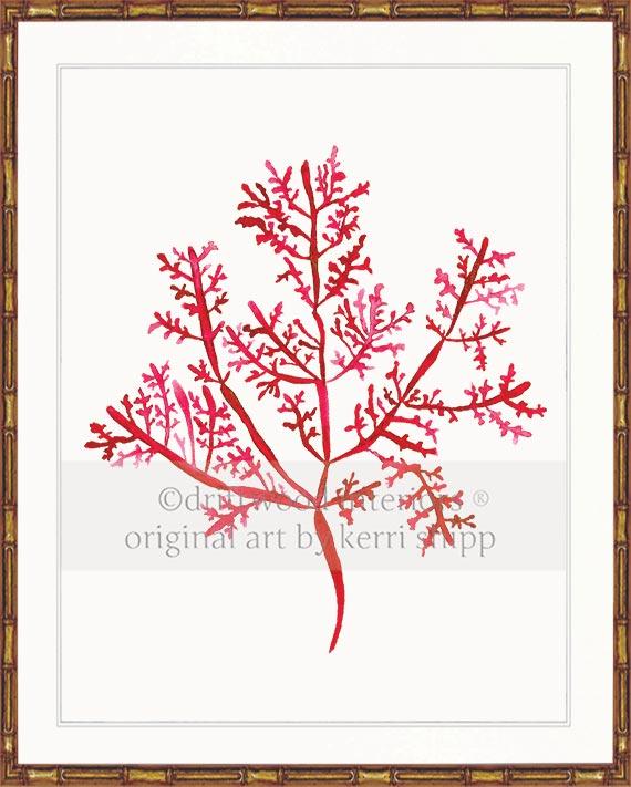 Sea Fern III in Ruby