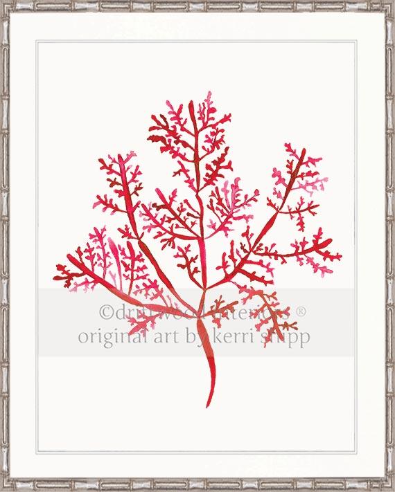 Sea Fern III in Ruby