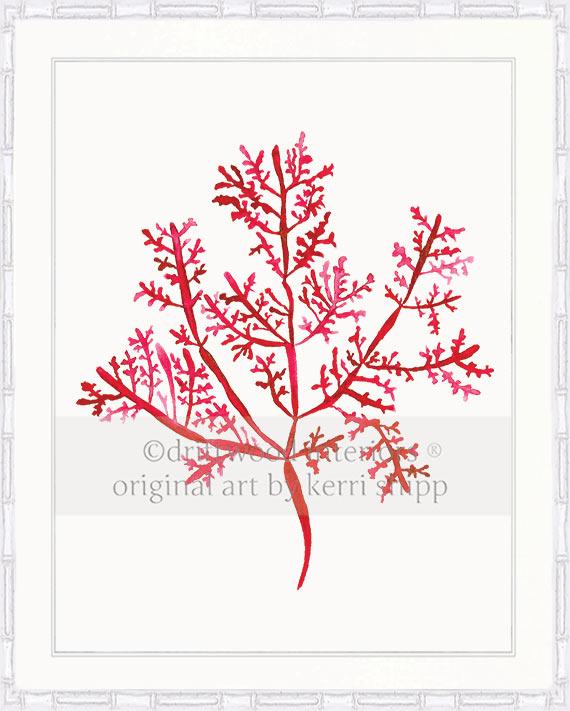 Sea Fern III in Ruby