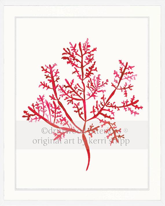 Sea Fern III in Ruby