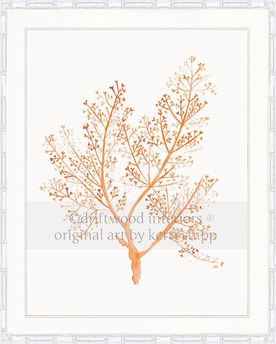 Sea Fern in Tangerine