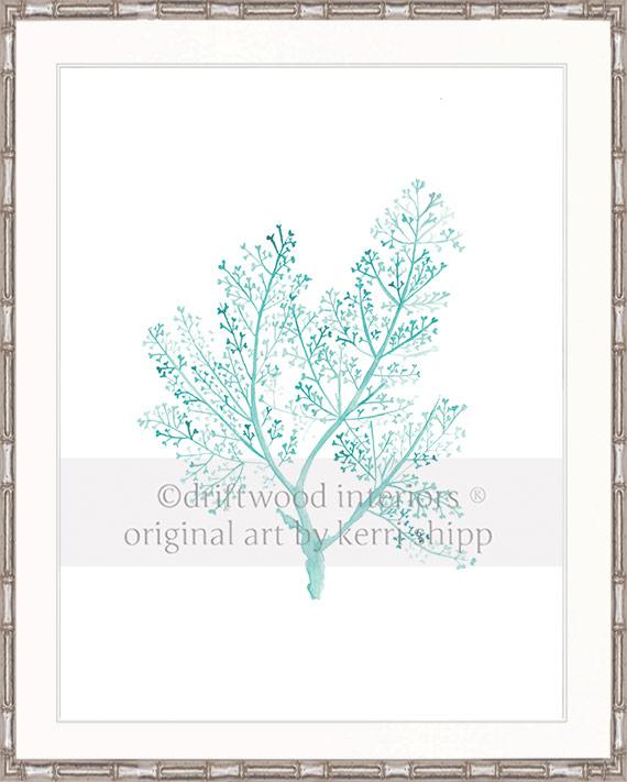 Sea Fern in Woodlawn