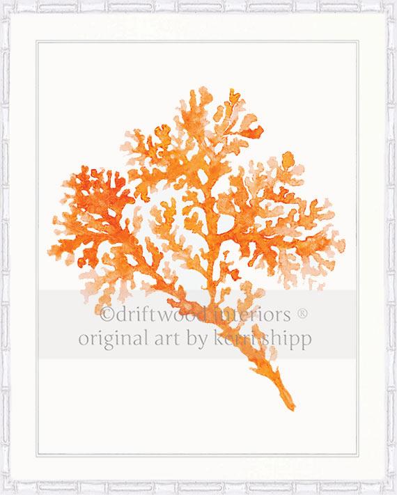 Seagrass in Tangerine