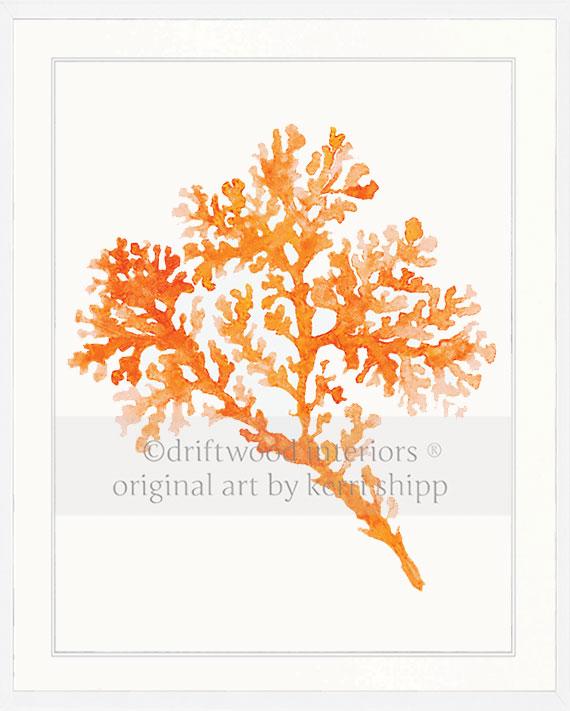 Seagrass in Tangerine