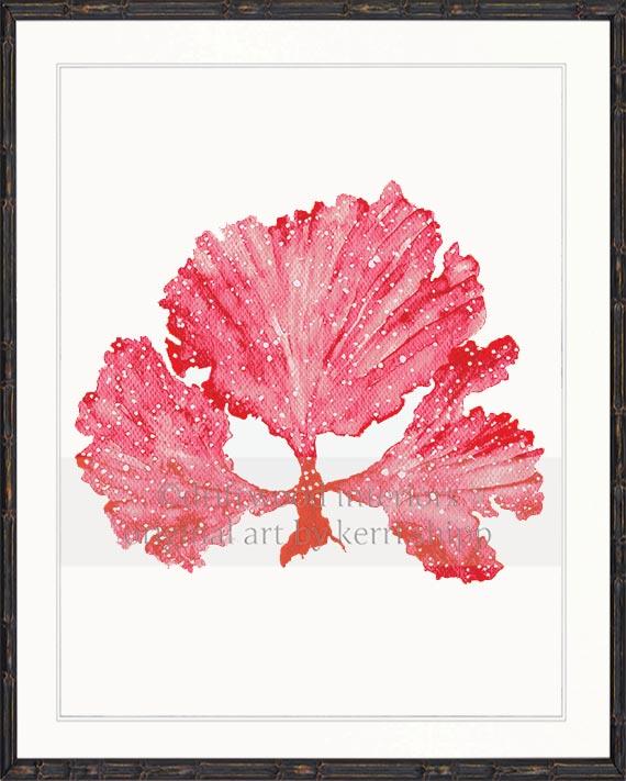 Wall Art Prints | Seaweed II in Ruby Coral Artwork in black bamboo frame Driftwood Interiors