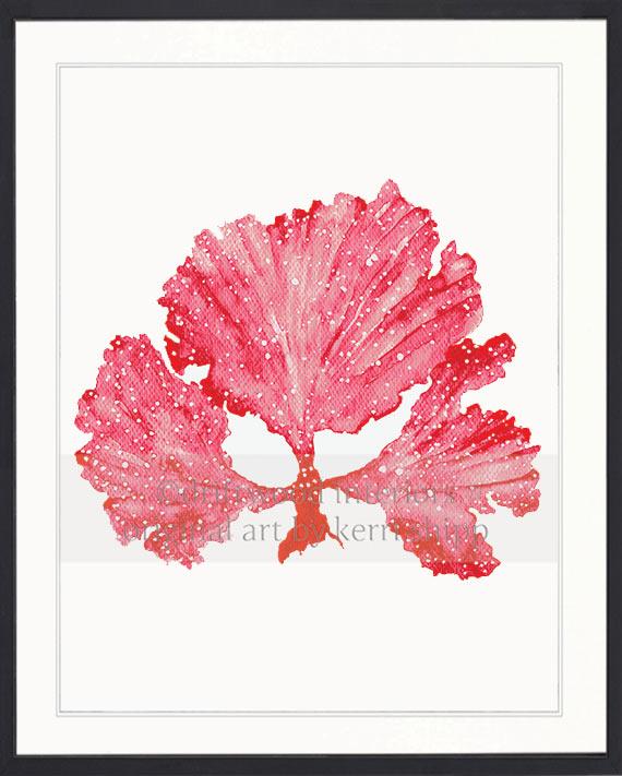 Wall Art Prints | Seaweed II in Ruby Coral Artwork in black timber frame Driftwood Interiors
