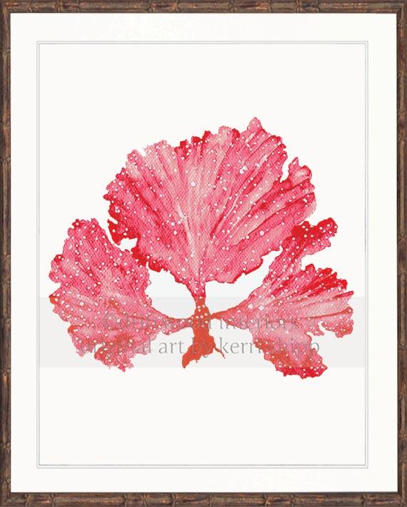 Wall Art Prints | Seaweed II in Ruby Coral Artwork in brown bamboo frame Driftwood Interiors