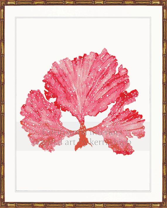 Wall Art Prints | Seaweed II in Ruby Coral Artwork in gold bamboo frame Driftwood Interiors