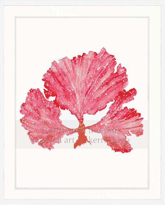 Wall Art Prints | Seaweed II in Ruby Coral Artwork in white timber frame Driftwood Interiors