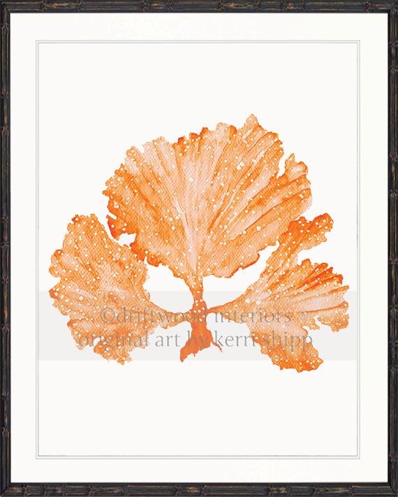 Seaweed II in Tangerine