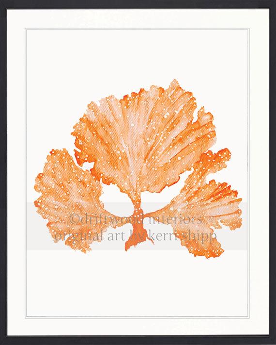 Seaweed II in Tangerine