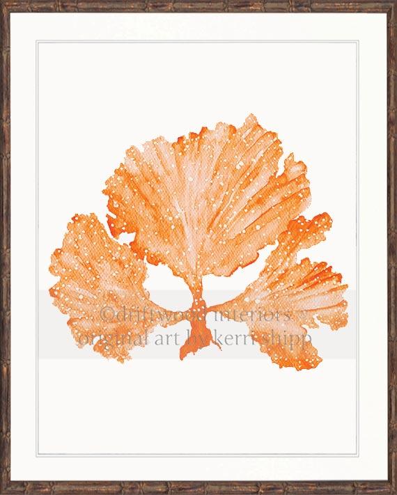 Seaweed II in Tangerine