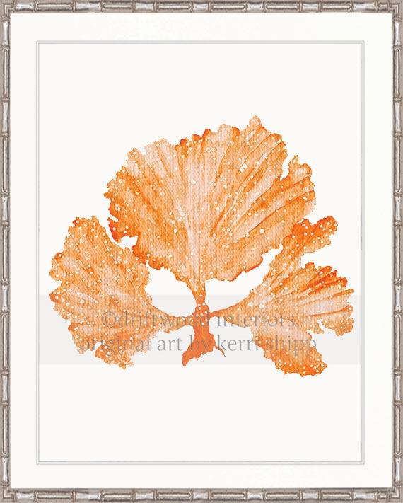 Seaweed II in Tangerine