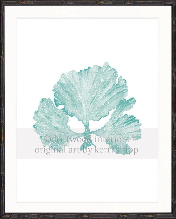 Seaweed II in Woodlawn