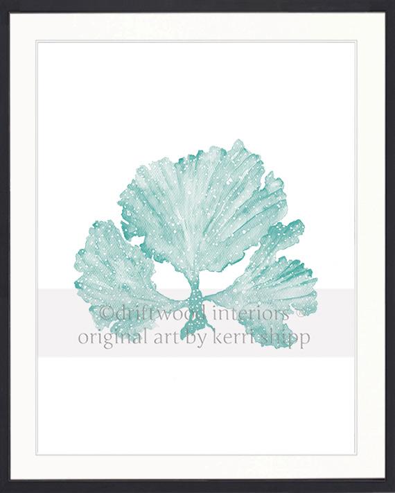 Seaweed II in Woodlawn