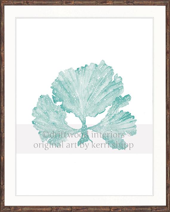 Seaweed II in Woodlawn