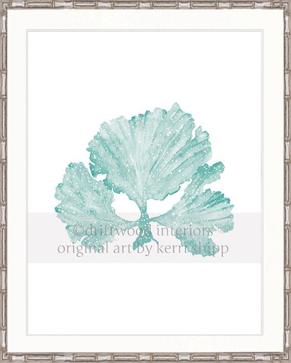 Seaweed II in Woodlawn