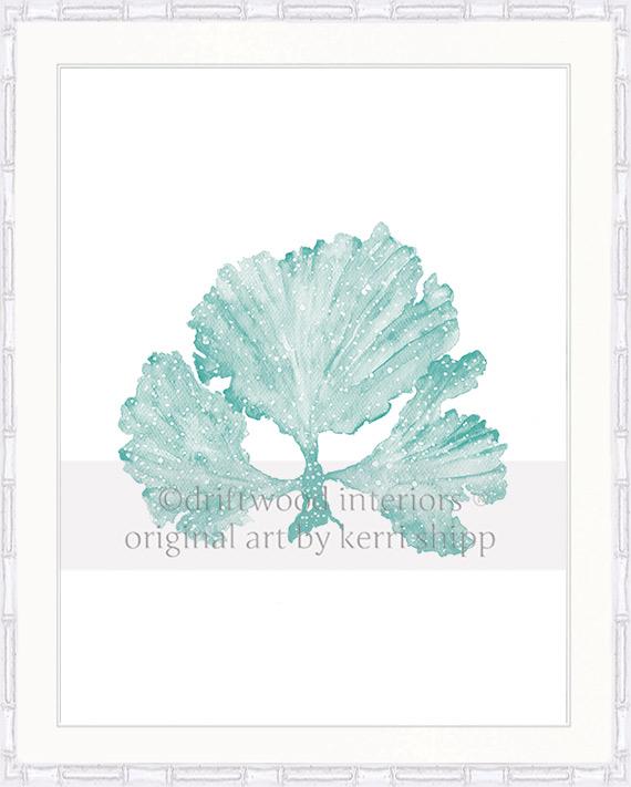 Seaweed II in Woodlawn