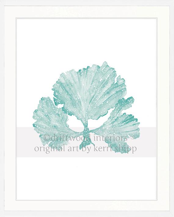 Seaweed II in Woodlawn