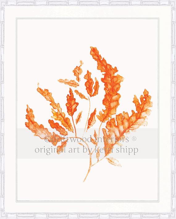 Seaweed in Tangerine