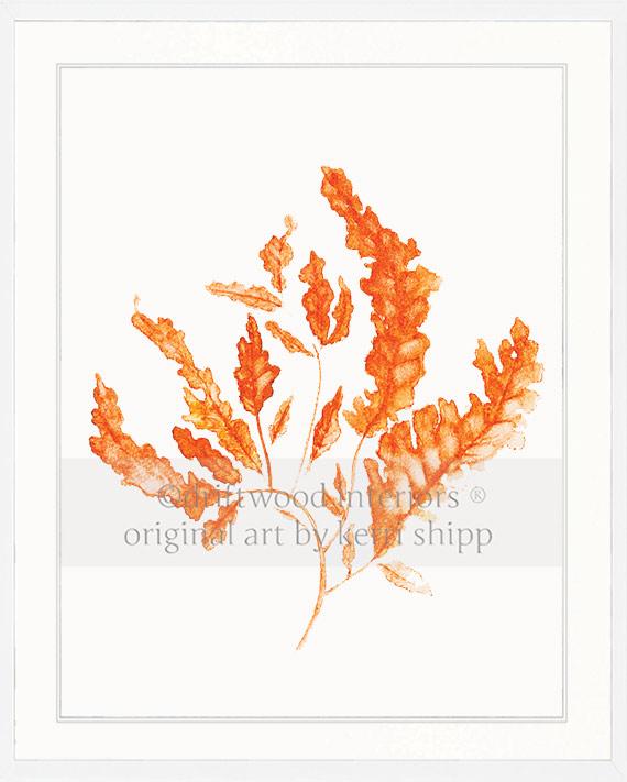 Seaweed in Tangerine
