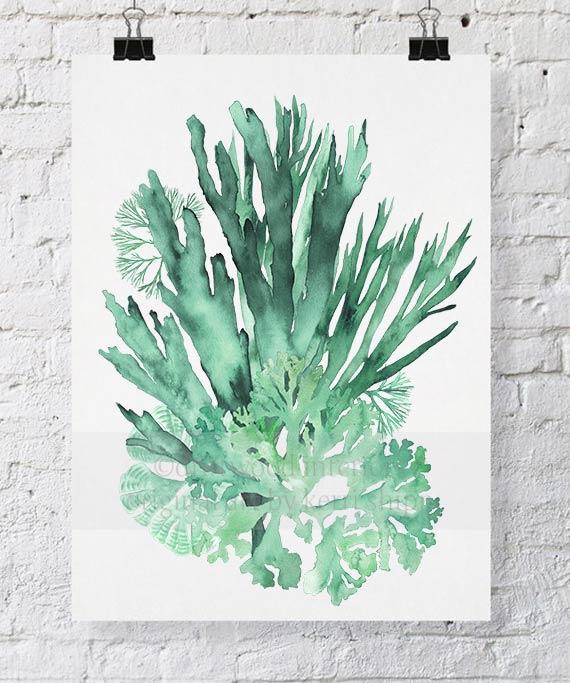 Coral Wall Art Print - Seaweed Collage I in Green - Driftwood Interiors