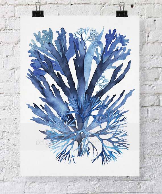 Coral Wall Art Print - Seaweed Collage II in Blue - Driftwood Interiors
