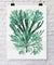 Coral Wall Art Print - Seaweed Collage II in Green - Driftwood Interiors