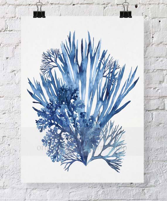 Coral Wall Art Print - Seaweed Collage III in Blue - Driftwood Interiors