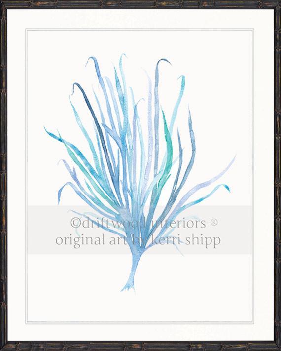 Seaweed VII in Aqua - Driftwood Interiors