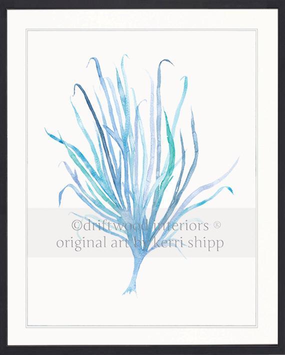 Seaweed VII in Aqua - Driftwood Interiors