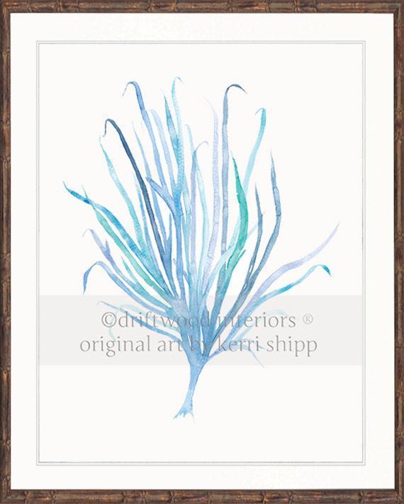 Seaweed VII in Aqua - Driftwood Interiors