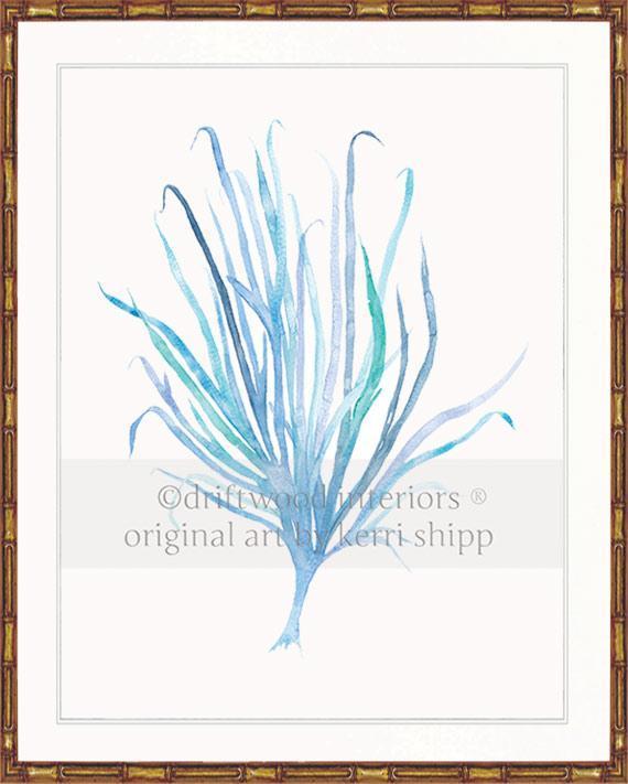 Seaweed VII in Aqua - Driftwood Interiors