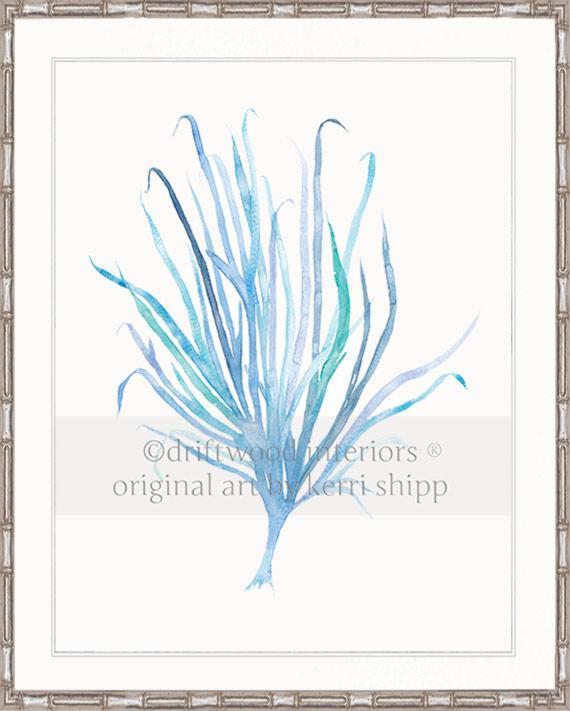 Seaweed VII in Aqua - Driftwood Interiors
