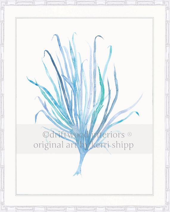 Seaweed VII in Aqua - Driftwood Interiors