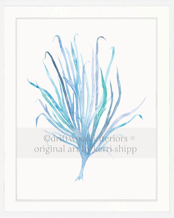 Seaweed VII in Aqua - Driftwood Interiors