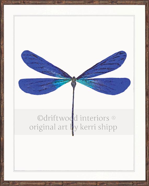 Dragonfly in Cobalt