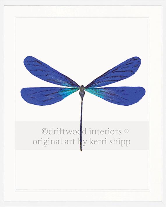 Dragonfly in Cobalt