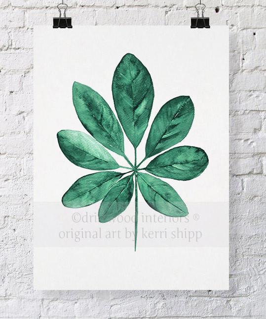 Tropical Art  - Tropical Leaf Wall Art Print in Emerald Green - Driftwood Interiors