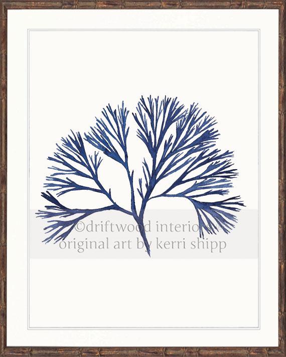 Coral Wall Art Print - Tree Coral I in Denim