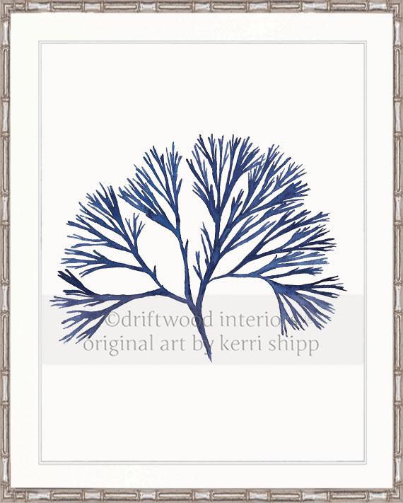Coral Wall Art Print - Tree Coral I in Denim