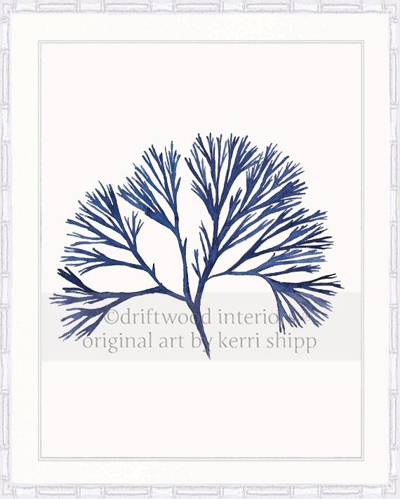 Coral Wall Art Print - Tree Coral I in Denim