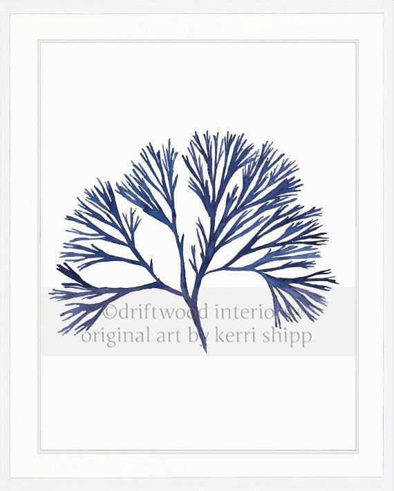Coral Wall Art Print - Tree Coral I in Denim