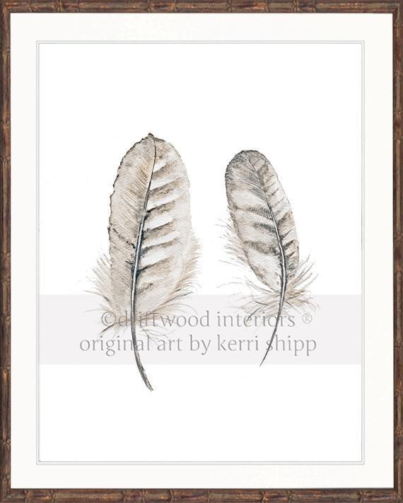 &quot;Collected&quot; Feather Wall Art Print - Driftwood Interiors
